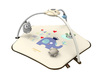 Baby Playmat/Playgym
