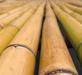 Treated Bamboo Poles