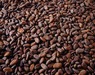 Dry cocoa beans