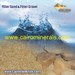 Quartz silica sand For Water Filtration