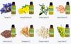 Carrier oil, plant essential oil, plant extrace, Chinese herbs oil