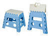 Plastic folding step stool