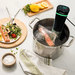 Slow Cooker Machine Wifi Control Immersion Circulator Sous Vide