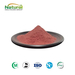 Red Yeast Rice Extract Powder