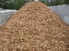 Wood Chips of Ash