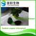 Natural green food colorant sodium copper chorophyll