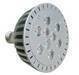 Sell PAR38 LED Bulbs with 12 One Watt LEDs