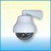 Sell CCTV IP camera, DVR, Dummy Camera, alarm, doorbell