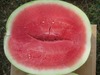 Seedless watermelons Sagi F1 from Ukraine