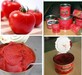 Tomato Paste with Drum and Canned Packing