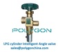 LPG cylinder valves