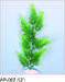 Aquarium plant