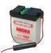 Electric vehicle Battery (6-DW-22) 