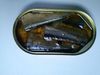 Canned pacific saury 190g