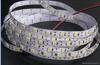 Led flexible strips SMD5050 60leds/m Ip65