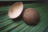 Whole Coconut Empty Shells for Decoration use