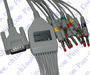 Schiller one-piece 10 lead cable and leadwire