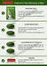 Top herbal slimming products, Meizitang zisu slimming softgel