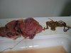 Fresh frozen pig placenta