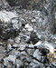 Steam Coal