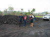 Steam Coal