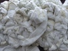 Polyester fiber waste