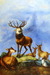 Animal oil paintings