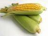 Yelow Corn Grade 2