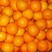 Fresh Fruits, Valencia Orange