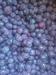 Frozen bilberry (wild blueberry) 