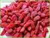 Dried Goji Berries From Ningxia