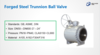 Cast Steel Flanged Floating Ball Valve&Forged Steel Trunnion Ball Valv