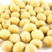 Yellow Soybean Non Gmo Soybeans