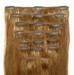 Human Hair Extensions/Wefts