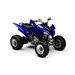 Yamaha raptor250