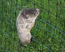 BOP plastic anti mole net protect crops