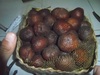 Salak Gula Pasir / Sugar Salacca / Snake Fruit var. Gula Pasir