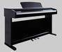 Huangma digital piano upright & grand style available