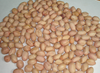 GROUNDNUT