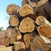 Teak wood round logs