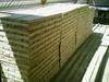 Pine Wood Lumbers/Logs/Pallets Elements