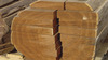 Ayous logs and lumber for sale in huge quantity