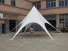 Aluminum frame Clear Span Curve Sport Event tent 30x30m Tent Factory