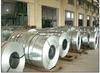 Hot dipped galvanized steel coil