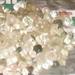 Rough Diamonds Offer Within Usa.
