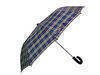 Umbrella/Folding umbrella/Rain umbrella