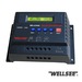 WELLSEE  2000W Solar Inverter with built-in controller