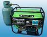 1kw Biogas generator DF1500BG
