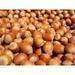 Certified Organic Hazelnuts