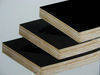 Supply High-Quality Plywood
